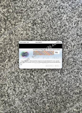 Germany Volksbank mastercard photolook back